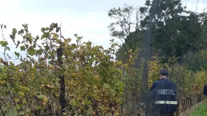 L'operazione antibracconaggio a Gradisca