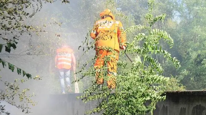 Bumbaca Gorizia 12.08.2013 Incendio Palchisce Fotografia di Pierluigi Bumbaca