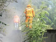 Bumbaca Gorizia 12.08.2013 Incendio Palchisce Fotografia di Pierluigi Bumbaca