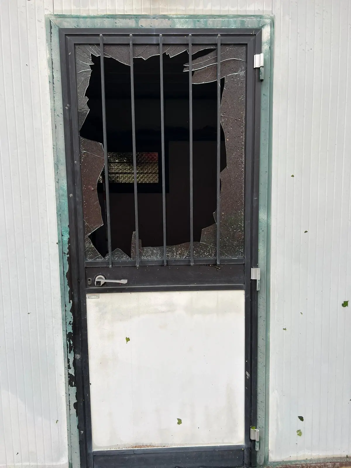 Ecco le immagini dalla Bassa friulana, colpita dall'ondata di maltempo che si è abbattuta sulla regione: le foto da Carlino, San Giorgio di Nogaro e Torviscosa