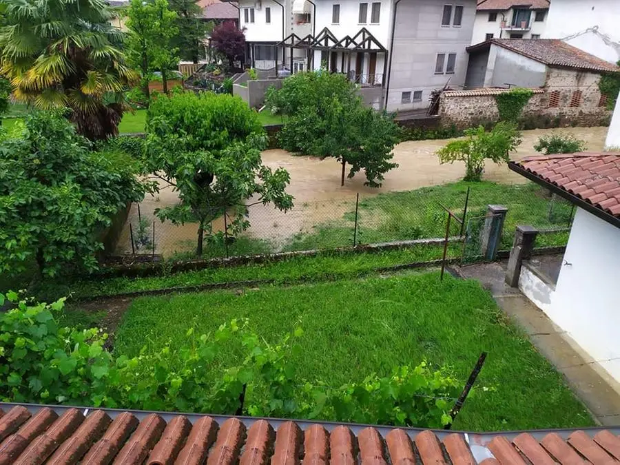 Buttrio