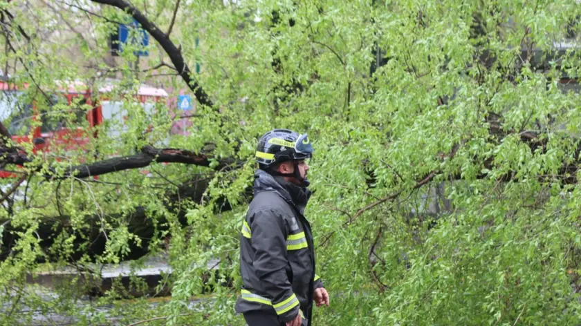 A causa del maltempo un albero e' caduto sulla fermata della linea 14, per fortuna senza causare feriti, a Milano, 31 marzo 2024. Il traffico e' stato deviato. ANSA/ PAOLO SALMOIRAGO