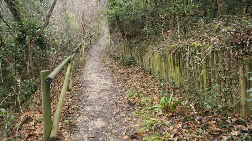Bumbaca Gorizia 08.01.2019 Parco del Castello © Fotografia di Pierluigi Bumbaca