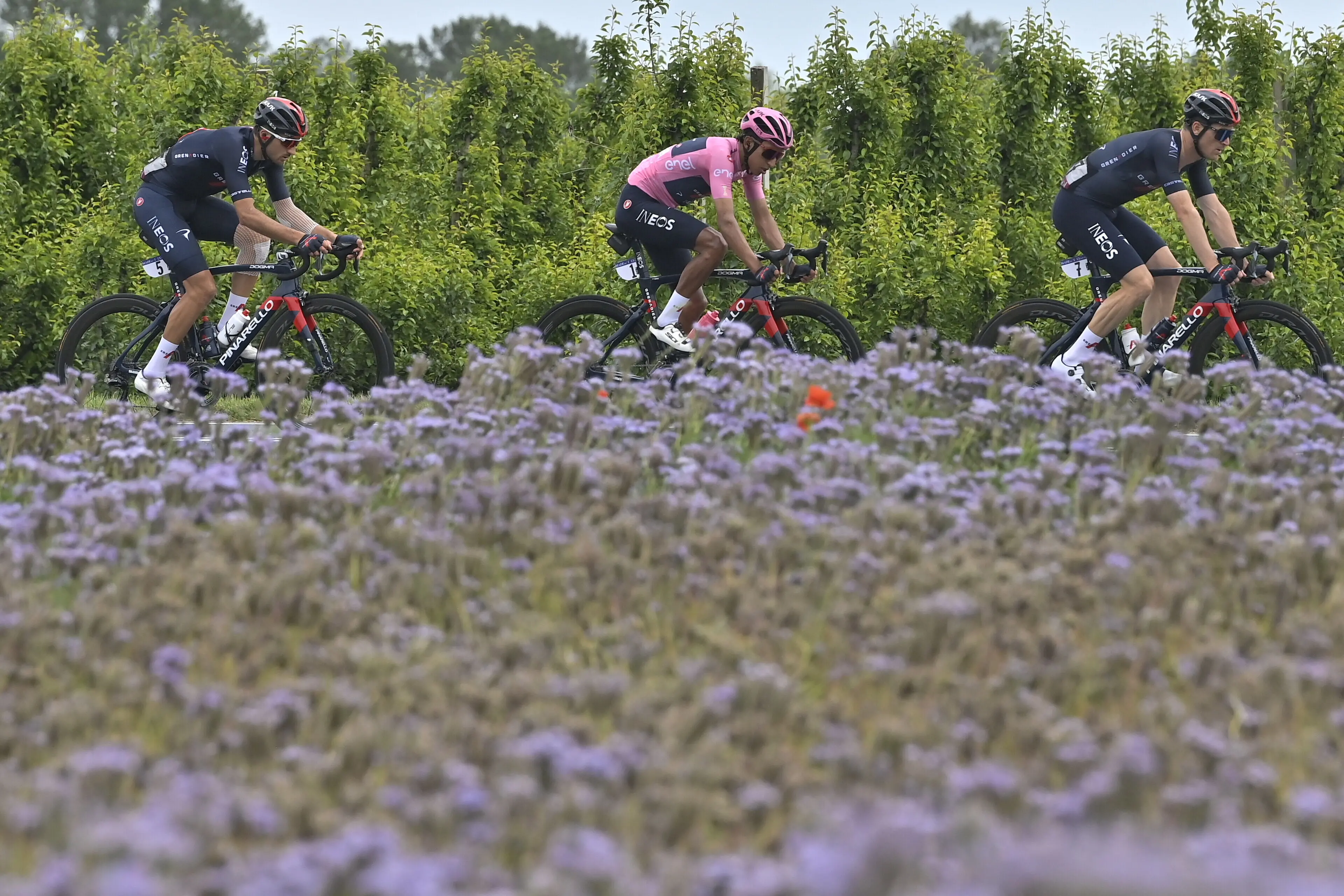 La maglia rosa Bernal scortato dai suoi pretoriani della Ineos