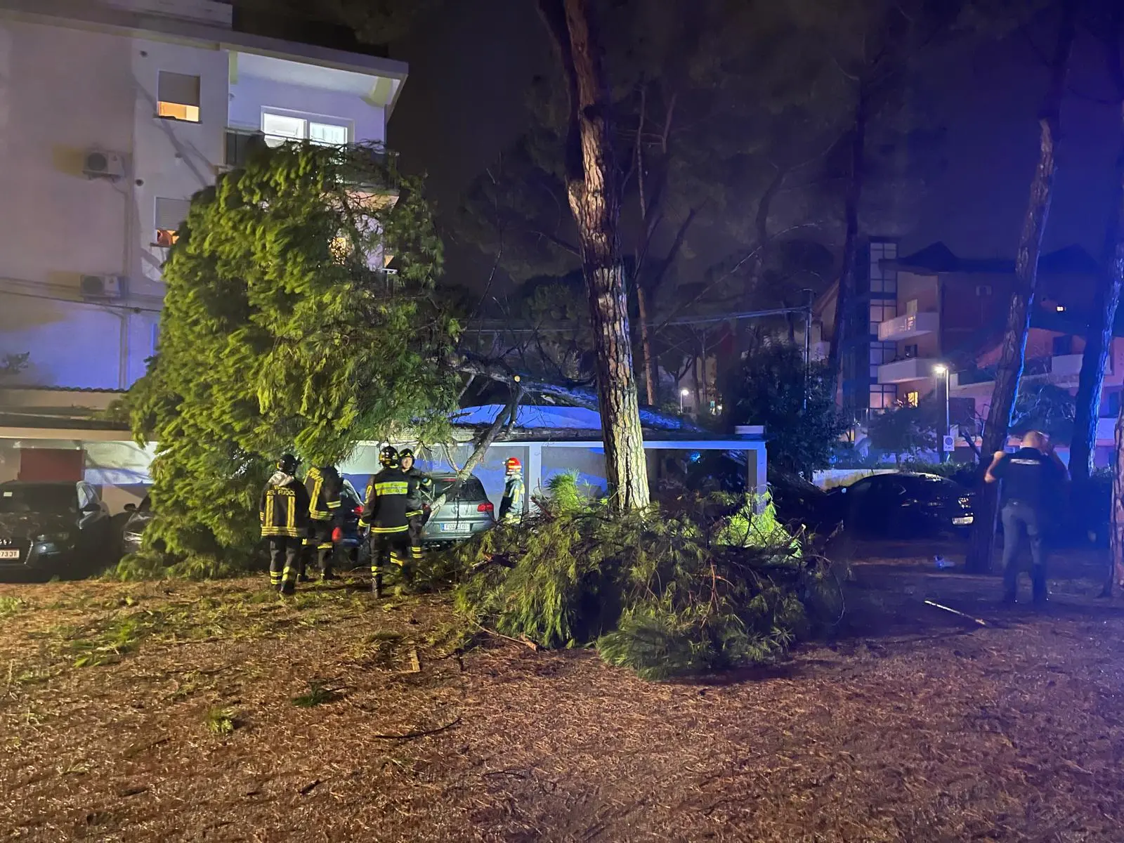 Alberi sradicati dalle forti raffiche di vento, pali dell’illuminazione pubblica piombati in mezzo alle strade con inevitabili problemi alla viabilità, cartelli stradali divelti, giardini e scantinati allagati, alcuni momentanei blackout e anche tre incendi causati dai fulmini. L’ondata di maltempo che ha colpito la regione nella prima serata di giovedì 1 agosto ha causato danni in diversi comuni della provincia di Udine. Tra questi c'è Lignano dove un albero si è spezzato ed è finito sopra l'hotel Campana d'Oro