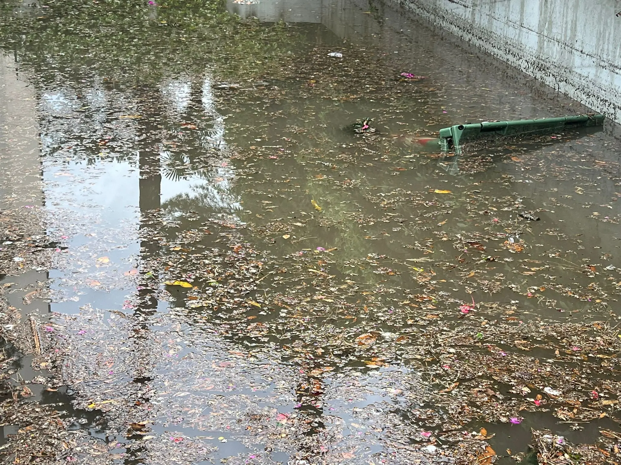 Una bomba d'acqua si è abbattuta nelle prime ore di venerdì mattina a Lignano: la località balneare è finita sott'acqua. Sono stati attivati 28 volontari con 9 automezzi per la gestione delle problematiche conseguenti all’evento meteo e il monitoraggio del territorio