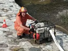 Giuseppe De Paoli era il capogruppo della protezione civile locale: stava bonificando l'area dopo il maltempo quando è stato travolto da un tronco