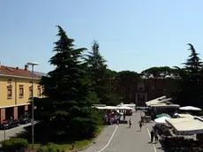 Torviscosa 5 Giugno 2015. paese e sindaco © Foto Petrussi Foto Press - Massimo Turco