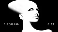 Da Majoli Angela Oggetto: I: MINA: Svelate copertina e tracklist del nuovo album "PICCOLINO"------------------STIAMO PER DARE LA NOTIZIA, GRAZIE E BUON LAVORO