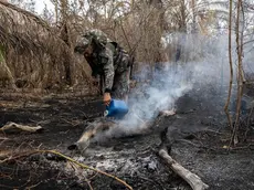 epa10987894 An Environmental policeman extinguishes a fire in the Brazilian Pantanal, in the city of Aquidauana, Brazil, on 20 November 2023 (issued 21 November 2023). The Brazilian Environmental Police are now searching for signs of animal life after fires raging in the Pantanal devastated large areas of the largest wetland on the planet. EPA/ISAAC FONTANA ATTENTION: This Image is part of a PHOTO SET