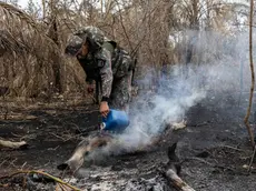 epa10987894 An Environmental policeman extinguishes a fire in the Brazilian Pantanal, in the city of Aquidauana, Brazil, on 20 November 2023 (issued 21 November 2023). The Brazilian Environmental Police are now searching for signs of animal life after fires raging in the Pantanal devastated large areas of the largest wetland on the planet. EPA/ISAAC FONTANA ATTENTION: This Image is part of a PHOTO SET