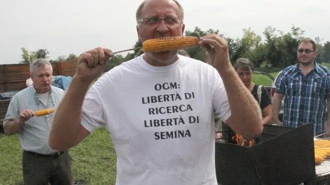 FOTO MISSINATO - VIVARO OGM