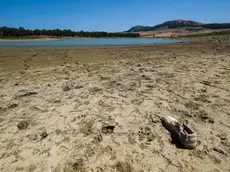 Siccità in Sicilia, il lago di Piana degli albanesi ridotto ad una pozzanghera, Palermo 29 luglio 2024. ANSA/IGOR PETYX - - - - - - - - - - - - - - - - - Drought in Sicily, the Piana degli Albani lake reduced to a puddle, Palermo 29 July 2024. ANSA/IGOR PETYX