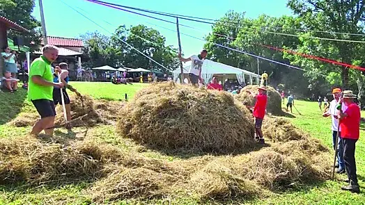 Una passata edizione della Festa della Meda a Porzûs