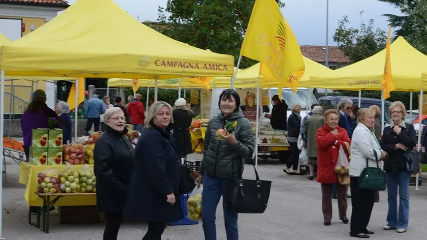 Udine 23 ottobre 2014 campagna amica Copyright Petrussi Foto Press TURCO MASSIMO