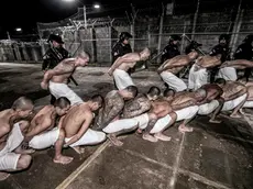 epa11405088 A handout photo made available by the Government of El Salvador shows the transfer of gang members to the Confinement Center for Terrorism (Cecot) in Tecoluca, El Salvador, 11 June 2024. El Salvador's President Nayib Bukele said that another 2,000 gang members were transferred to the country's high-security prison, called the Confinement Center for Terrorism (Cecot), which has a capacity of 40,000 members for these criminal structures and, according to Bukele is ''the largest in the Americas''. EPA/GOVERNMENT OF EL SALVADOR / HANDOUT HANDOUT/ EDITORIAL USE ONLY/ ONLY AVAILABLE TO ILLUSTRATE THE ACCOMPANYING NEWS (MANDATORY CREDIT) HANDOUT EDITORIAL USE ONLY/NO SALES HANDOUT EDITORIAL USE ONLY/NO SALES