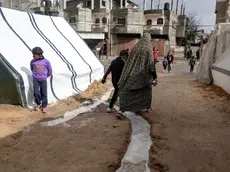 epaselect epa11107809 Internally displaced Palestinians at Rafah Camp, southern Gaza Strip, 27 January 2024. Since 07 October 2023, up to 1.9 million people, or more than 85 percent of the population, have been displaced throughout the Gaza Strip, some more than once, according to the United Nations Relief and Works Agency for Palestine Refugees in the Near East (UNRWA), which added that most civilians in Gaza are in 'desperate need of humanitarian assistance and protection'. EPA/HAITHAM IMAD