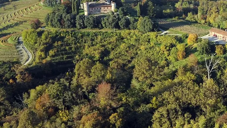 Premariacco 25 Febbraio 2016. Zona boschiva sotto la Rocca Bernarda. Foto Petrussi