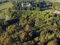 Premariacco 25 Febbraio 2016. Zona boschiva sotto la Rocca Bernarda. Foto Petrussi