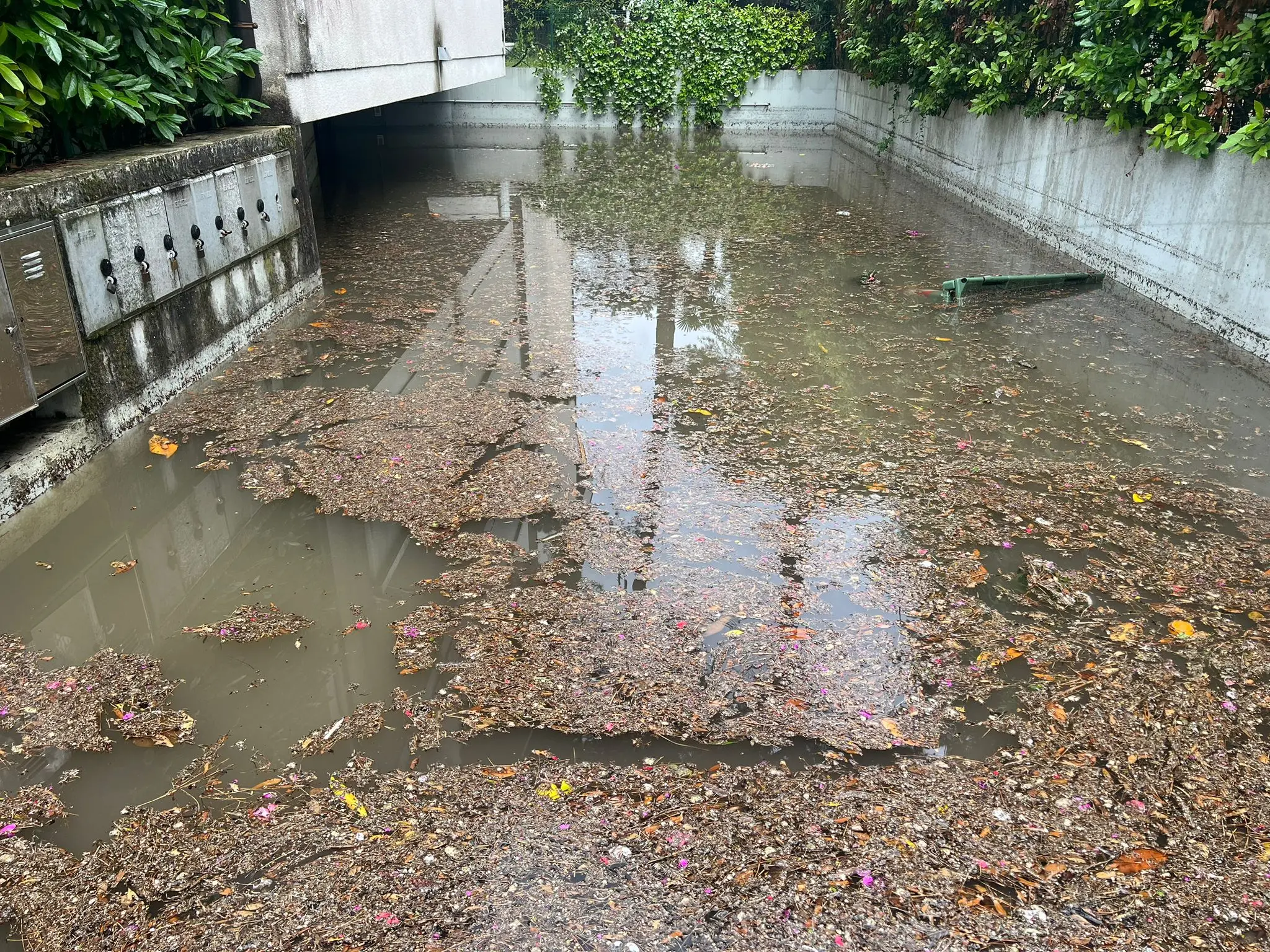 Una bomba d'acqua si è abbattuta nelle prime ore di venerdì mattina a Lignano: la località balneare è finita sott'acqua. Sono stati attivati 28 volontari con 9 automezzi per la gestione delle problematiche conseguenti all’evento meteo e il monitoraggio del territorio