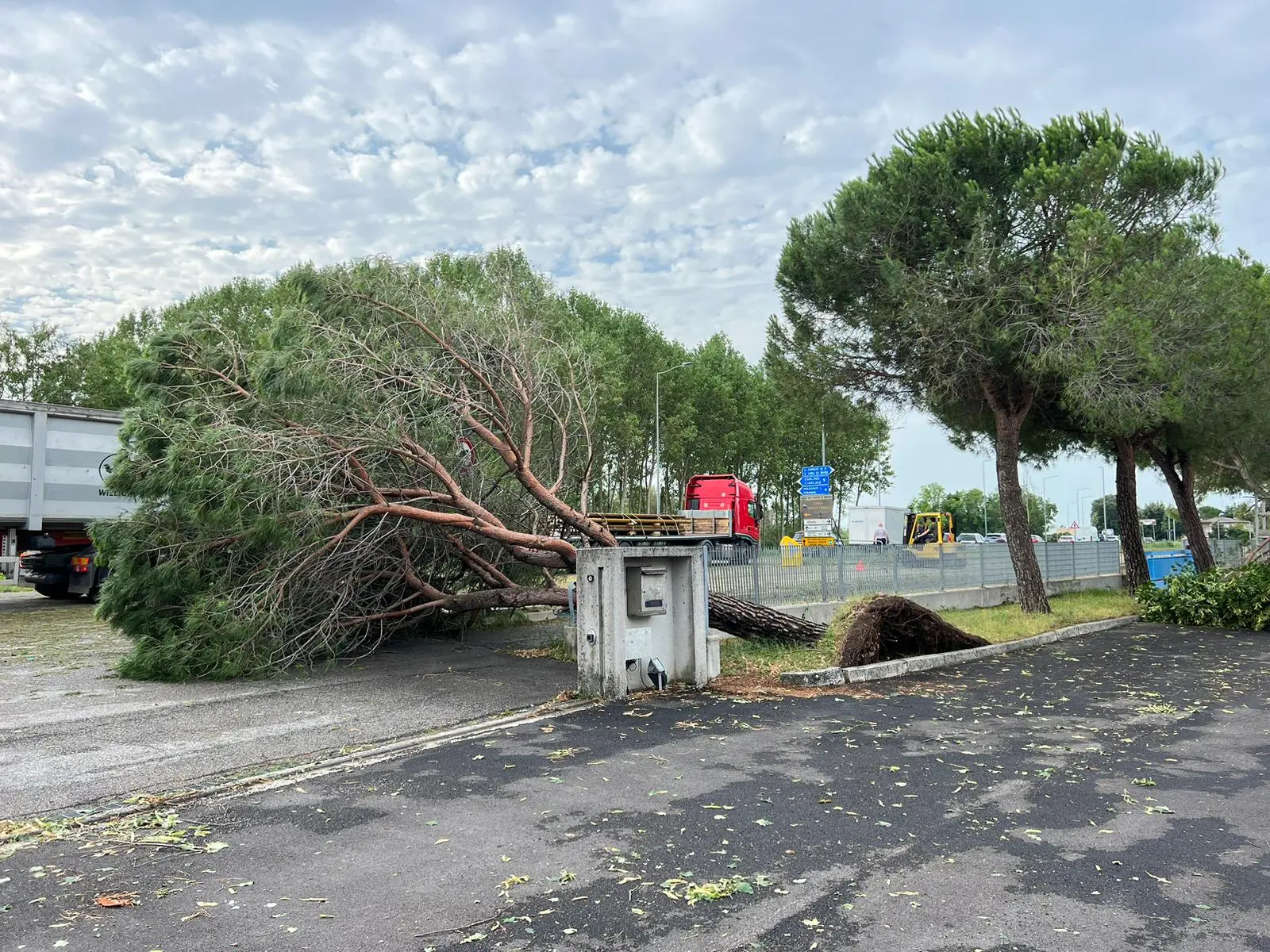 Ecco le immagini dalla Bassa friulana, colpita dall'ondata di maltempo che si è abbattuta sulla regione: le foto da Carlino, San Giorgio di Nogaro e Torviscosa