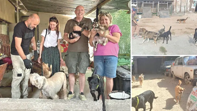 Enzo Uliana (terzo da sinistra) fotografato nel suo recente viaggio in Ucraina, il 40º da quando è scoppiata la guerra. Stavolta da Fagagna sono partiti aiuti per i tanti cani e gatti che in quel Paese non hanno dimore e cibo