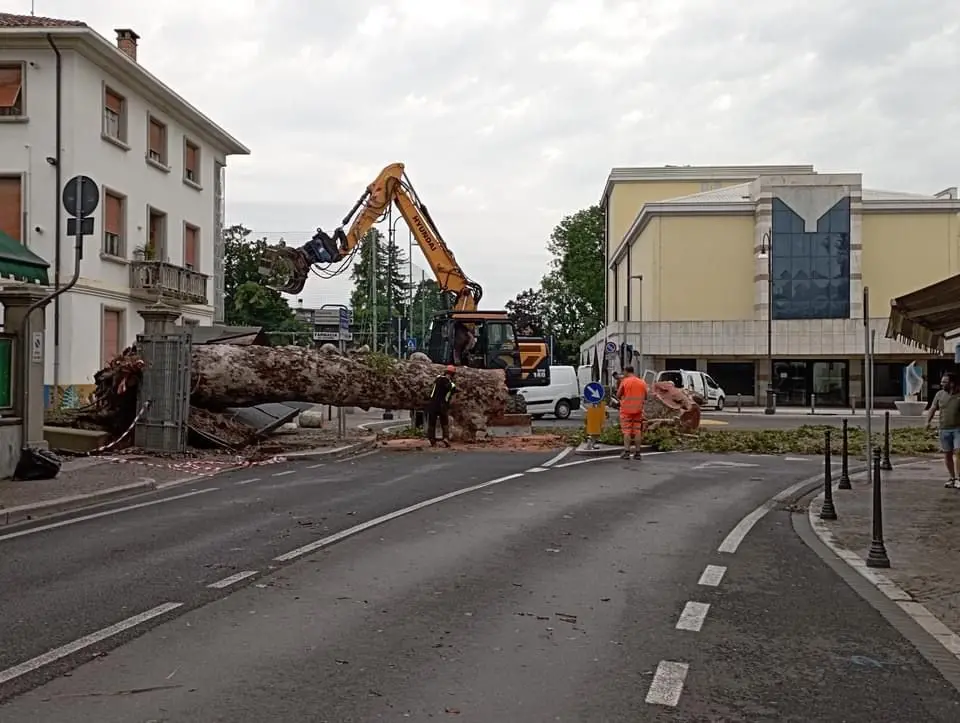 Ingentissimi i danni riportati da Latisana e a Latisanotta. A fare un primo bilancio è sindaco Lanfranco Sette che ha così commentato il maltempo che nella notte tra mercoledì e giovedì si è abbattuto sulla Bassa colpendo in particolar modo la zona di Latisana. Al momento, come riporta il primo cittadino, Via Roma e Via Gaspari si presentano con molti alberi divelti dal parco Gaspari. La situazione peggiore si registra però in via Trieste dove numerose abitazioni sono state scoperchiate e si sono riempite d’acqua. In un caso un tetto è letteralmente volato via planando su alcune auto parcheggiate. La protezione civile è al lavoro con i vigili del fuoco e verranno utilizzati anche i macchinari del Comune per rimuovere i detriti e gli alberi”. Il sindaco raccomanda di evitare, per ora le arterie principali della città. Qui la situazione aggiornata