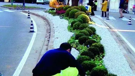 ANTEPRIMA udine 09-12-2004.NUOVA AIUOLA FUORI PORTA MANIN.Continuano i lavori di abbellimento della città, i giardinieri del Verde Pubblico stanno sistemando lo spartitraffico di via Manin.