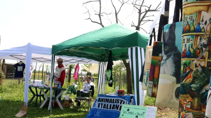 Soleschiano 22 Aprile 2019 Pasquetta vegana al Borgo Soleschiano ©Foto Petrussi
