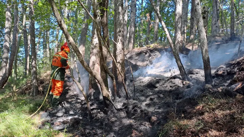 In corso le operazioni di spegnimento in una zona particolarmente impervia