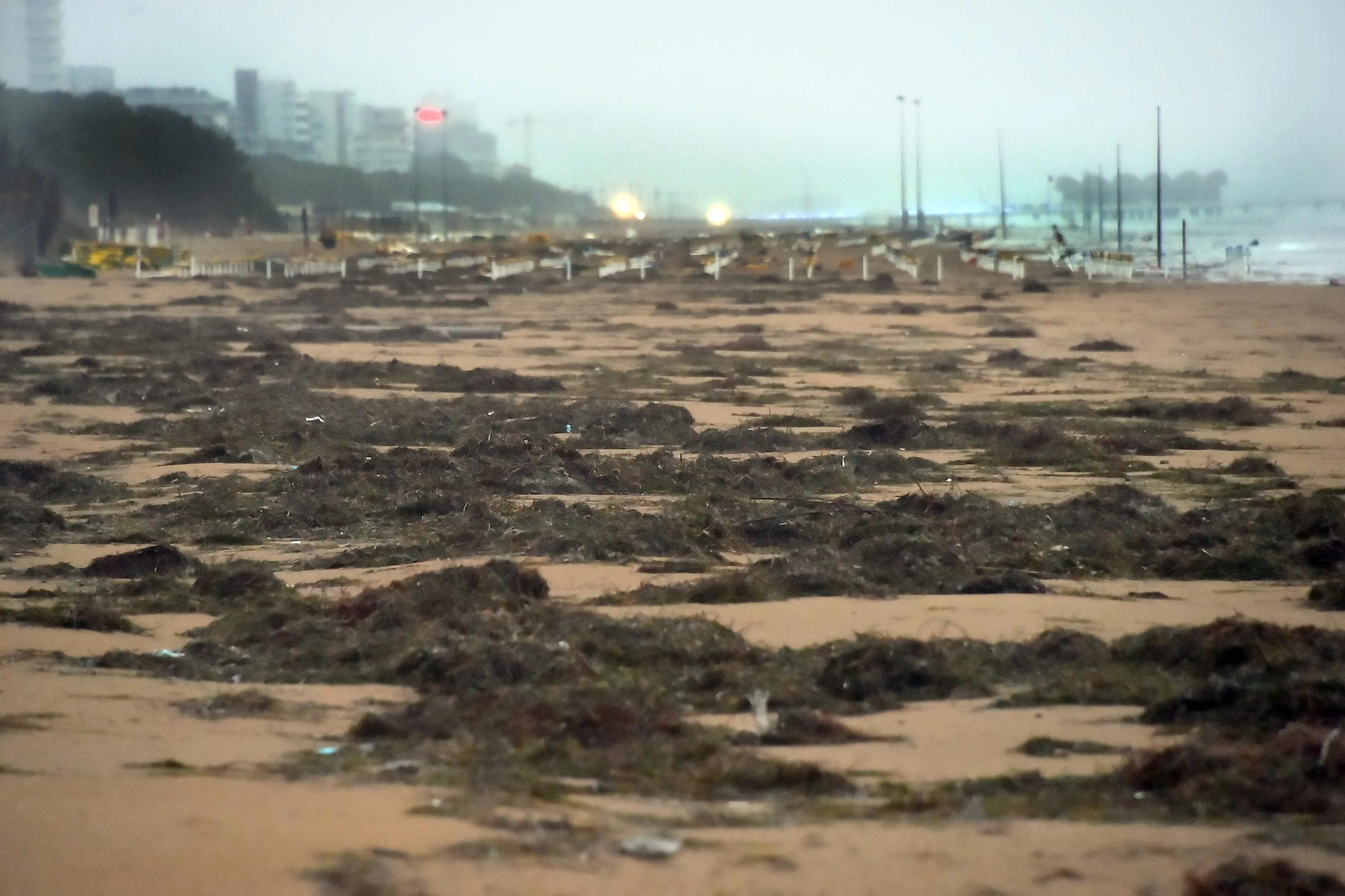 Lignano Pineta 22 Novembre 2022. Mareggiata a Pineta. © Foto Petrussi