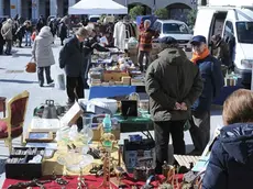 Udine Marzo 2013. Mercatino in Piazza XX Settembre. Telefoto Copyright Petrussi Foto Press / Petrussi Diego