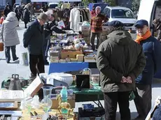 Udine Marzo 2013. Mercatino in Piazza XX Settembre. Telefoto Copyright Petrussi Foto Press / Petrussi Diego