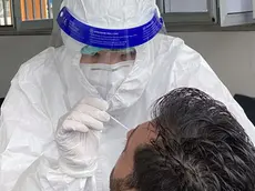 TOME -AGENZIA BIANCHI-PADOVA - TAMPONI AL MAAP