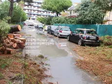 I danni causati dal forte maltempo a Bordighera (Imperia), 03 novembre 2019. Allagamenti, cedimenti stradali e schianti di alberi nel Ponente Ligure a causa del maltempo. A Sanremo soccorsi due giovani bloccati in auto in un sottopasso allagato. Nell'entroterra si è aperto un cratere sulla strada dei Due Valloni mentre diversi alberi si sono schiantati sulle auto parcheggiate a Ventimiglia. La linea temporalesca si intensifica nel Levante: il torrente Petronio è esondato tra Casarza Ligure e Riva Trigoso, non ci sarebbero al momento danni a persone. Anche il livello del Vara, nello spezzino, è oltre il secondo livello di guardia. ANSA