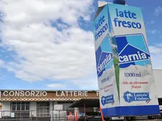 Campoformido (UD) 23/07/2011.Consorzio Latterie Friulane . Via P. Zorutti, 98..Telefoto Copyright Foto PFP / Ferraro Simone
