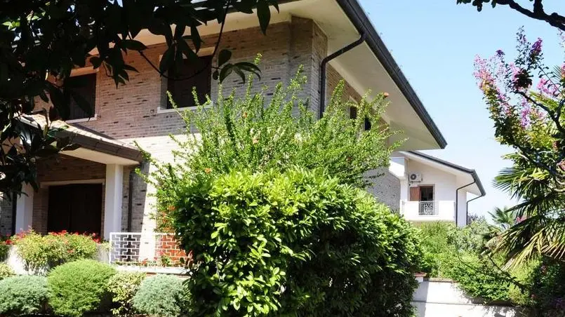 Udine 19 agosto 2012 MICIDIO copyright Petrussi pressTurco