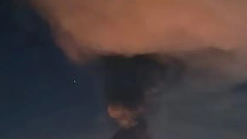 Brucia ditta solventi