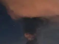 Brucia ditta solventi