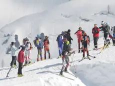 ANTEPRIMA gara monte canin