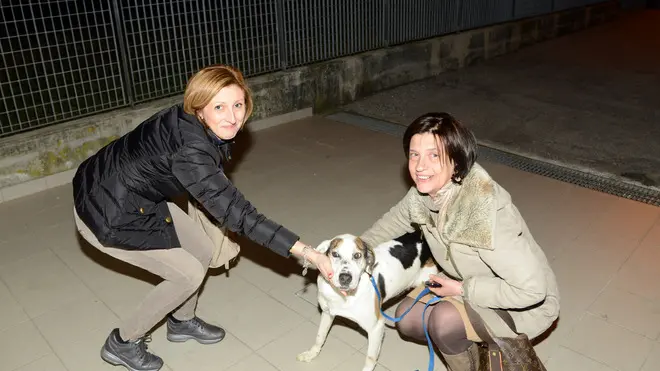 Udine 04 Marzo 2013 canile Copyright press Turco