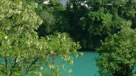 Bumbaca Gorizia Parco Piuma