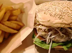 Cibo, ristorante, portate, simbolica, generica, pranzo, cena, food, gastronomia, gourmet, gourmand, agriturismo, osteria, mangiare, dieta, dieta mediterranea, hamburger, patatine, junk food, salute, colesterolo