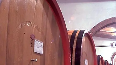 20060527 - ROMA - CRO - VINO: TORNA CANTINE APERTE;DOMANI FESTA IN 1000 AZIENDE - Un'immagine d'archivio che mostra la cantina della tenuta Grepponi Mazzi della Ruffino. Marce golose in mezzo ai vigneti, mongolfiere, mostre d'arte, passeggiate musicali tra le botti: sono solo alcune delle centinaia di eventi previsti per la piu' grande festa del vino italiano. L'appuntamento e' per domani con ''Cantine aperte'', l'evento organizzato dal Movimento Turismo del Vino. In oltre 1.000 cantine sono attesi non meno di un milione di enoturisti: dal Trentino, alla Sicilia, dal Piemonte alla Puglia, si assistera' alla tradizionale transumanza dalle citta' alle campagne, per una giornata diversa. ANSA-ARCHIVIO/TO