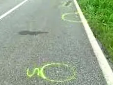 Il tratto di provinciale di Portovecchio teatro dell’investimento mortale