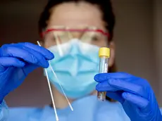 26/03/2020 Amsterdam. Test drive-thru presso la sede AMC dell'ospedale, per lo screening di controllo dell'epidemia da coronavirus. *** Local Caption *** 00952193