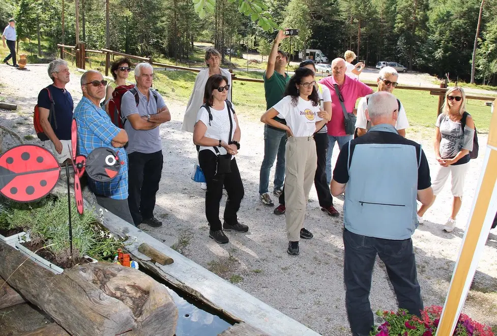Dogna 5 Agosto 2017. Visita alla Malga di Plan di Spadovai. © Foto Petrussi -Soravito