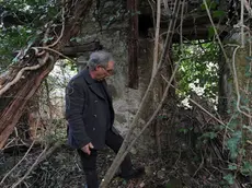 Prepotto 2 Marzo 2016. Marco Lesizza sui resti della stalla ormai coperta dai rovi dove, secondo i racconti del padre, avvenivamo le esecuzioni da parte dei partigiani alla fine della seconda guerra mondiale. Foto Petrussi