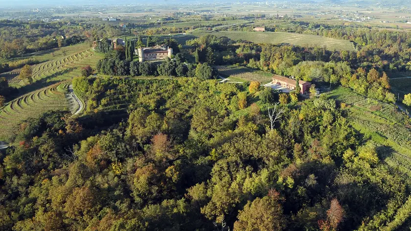 Premariacco 25 Febbraio 2016. Zona boschiva sotto la Rocca Bernarda. Foto Petrussi