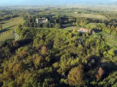 Premariacco 25 Febbraio 2016. Zona boschiva sotto la Rocca Bernarda. Foto Petrussi